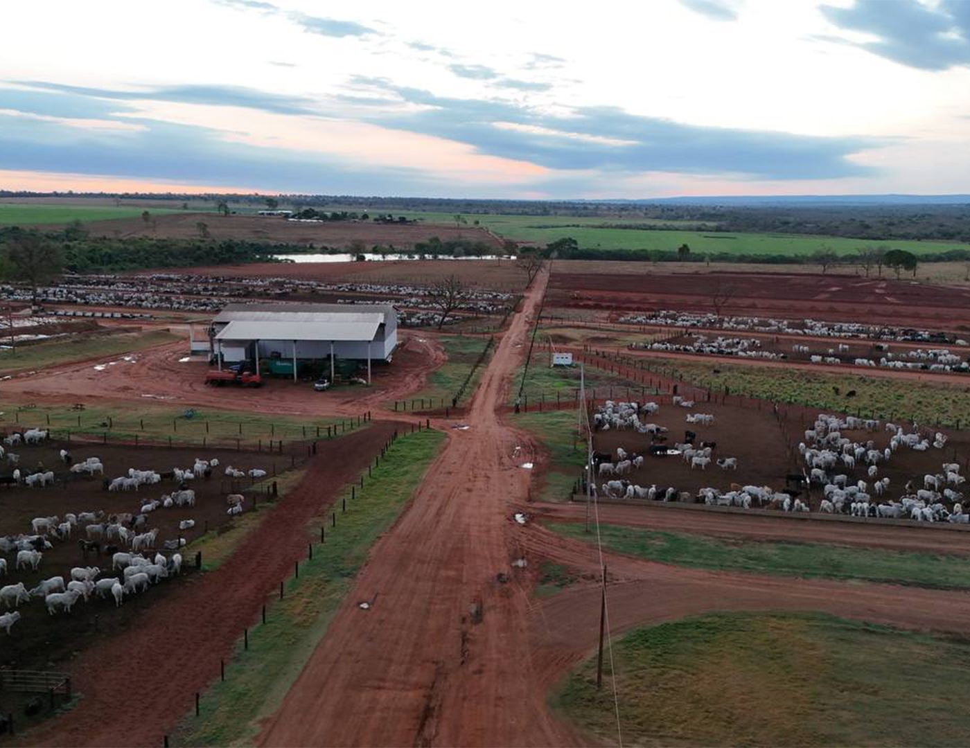 Vista aérea da estrada central e dos currais do confinamento ao entardecer