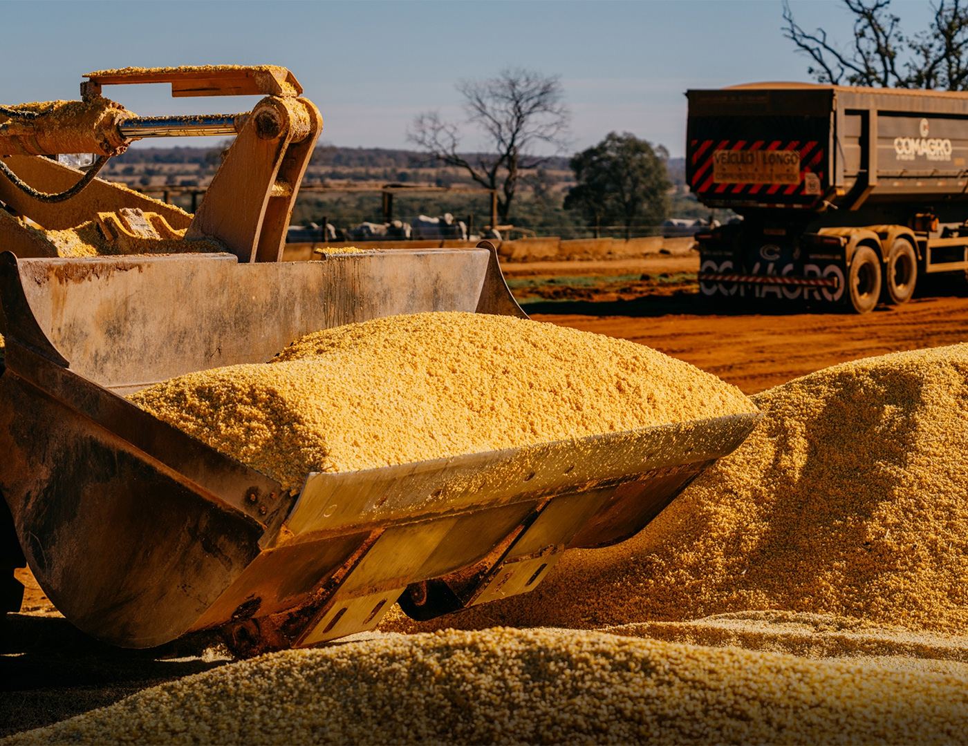 Pá carregadeira abastecendo o vagão com ração formulada na fábrica