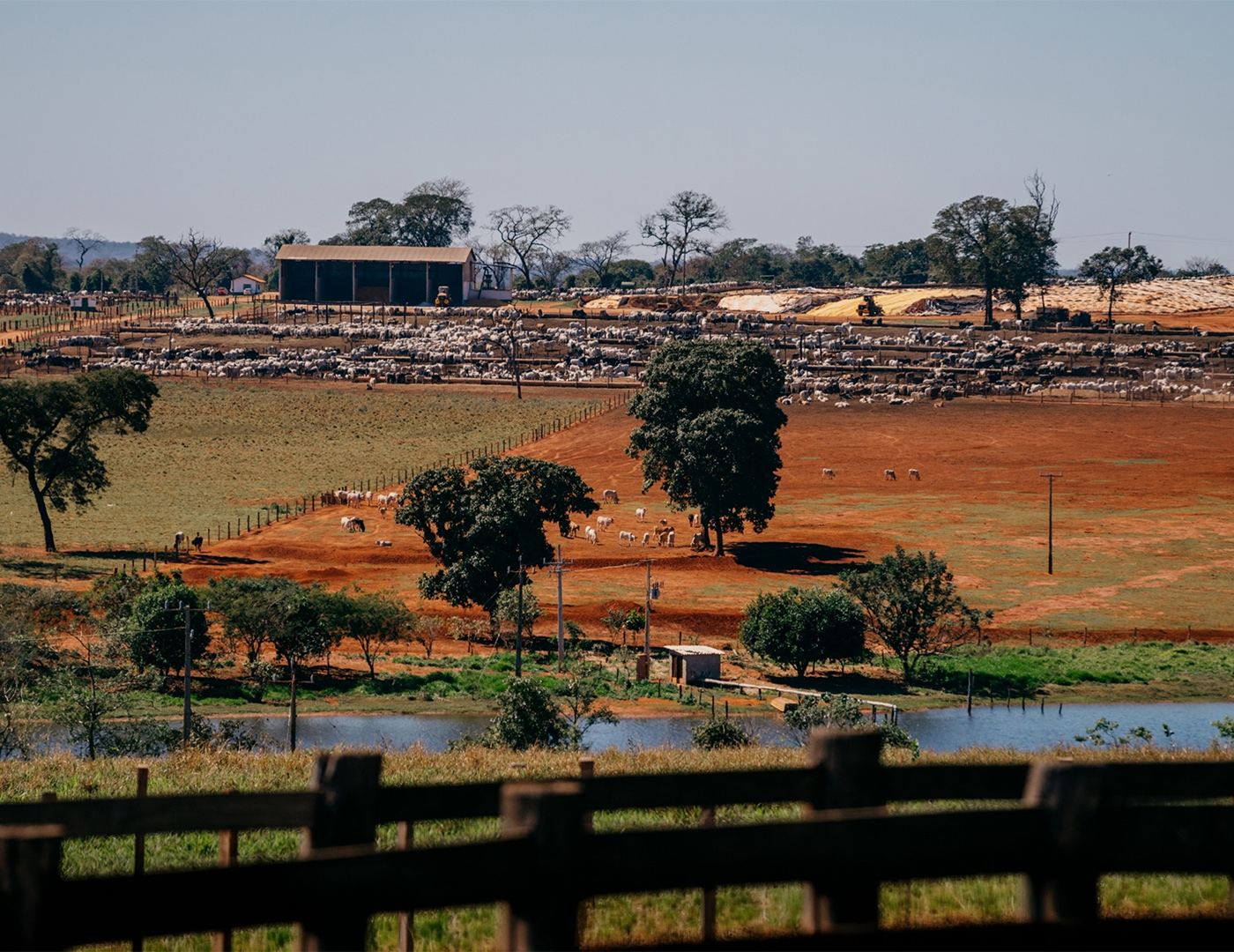 Panorâmica do confinamento com a fábrica de ração e o açude ao fundo