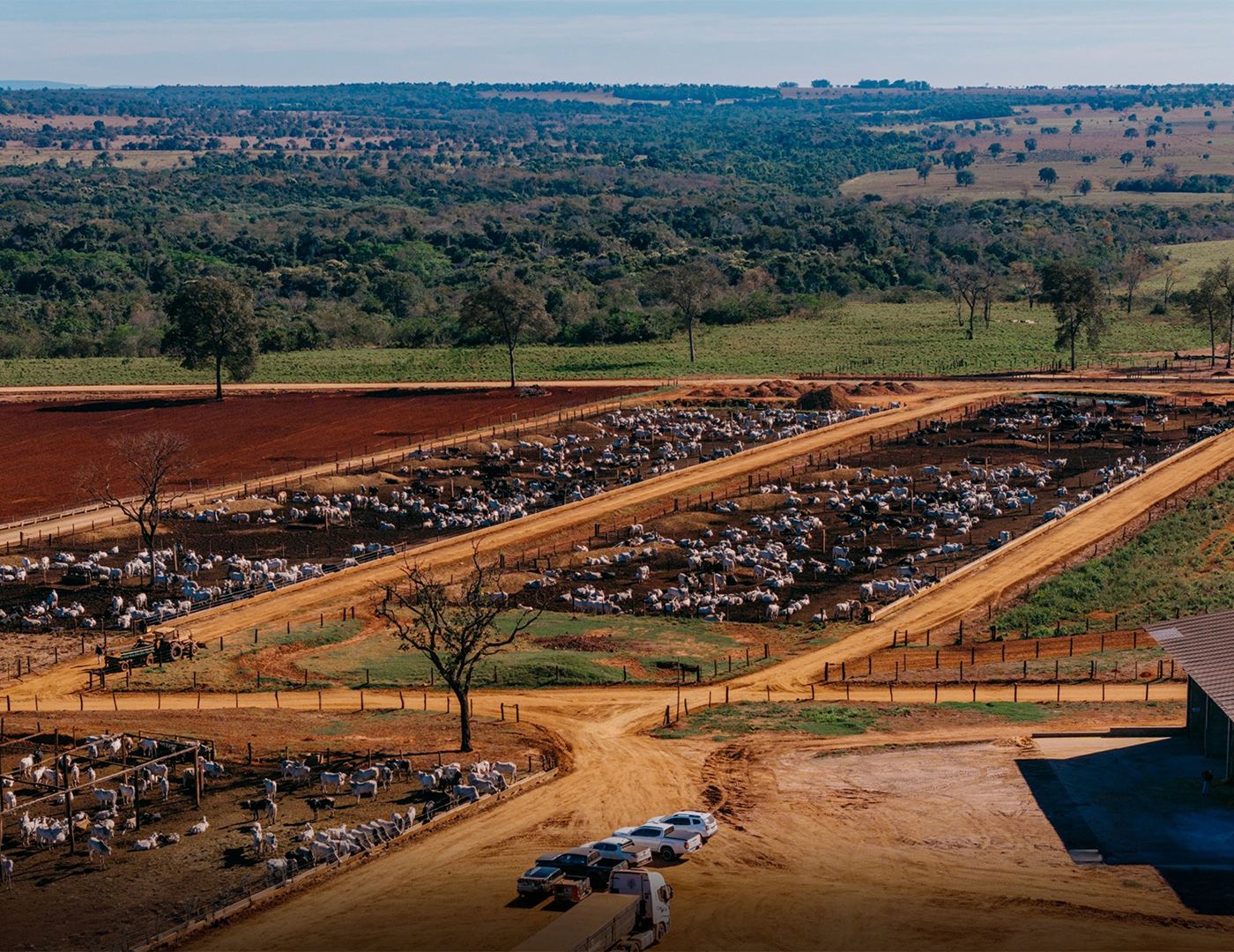 Vista aérea das linhas de curral do confinamento em Terenos-MS