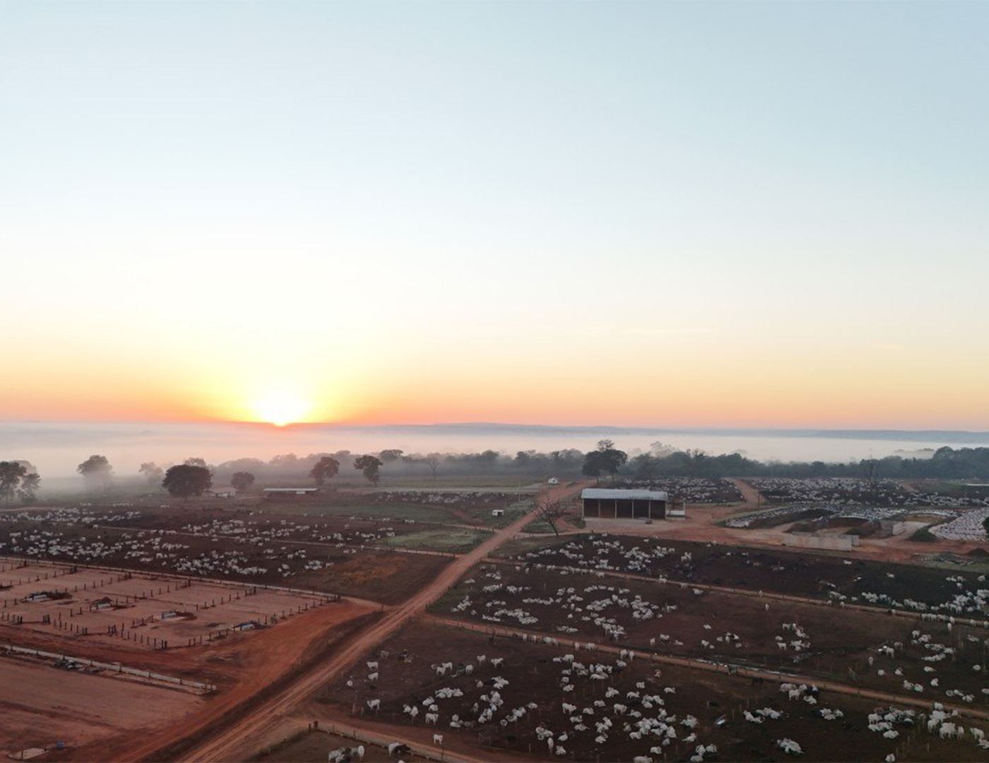 Nascer do sol sobre o confinamento visto de cima