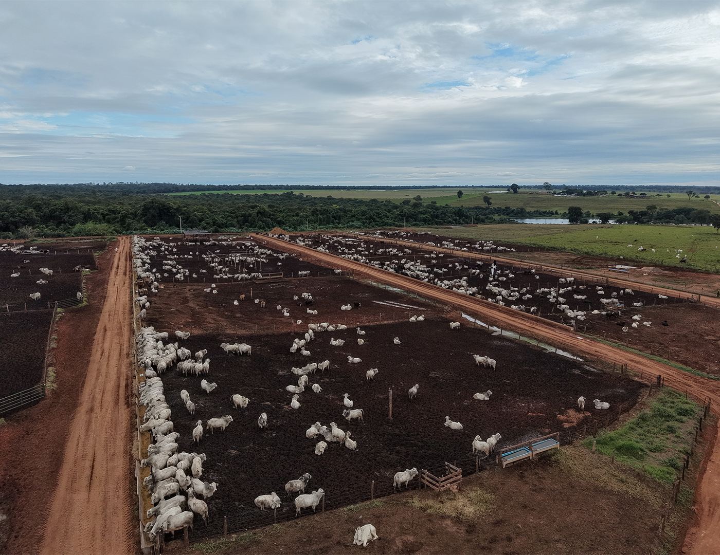 Vista aérea dos currais e das ruas de trato do confinamento