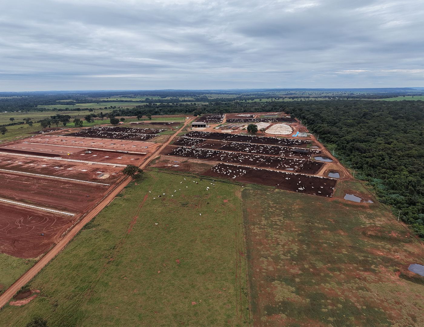 Confinamento visto do alto, entre a lavoura e a mata