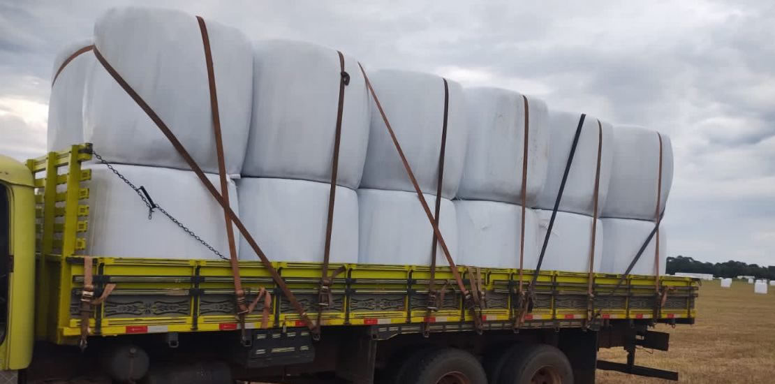 Caminhão carregado com fardos de pré-secado embalados em filme plástico branco