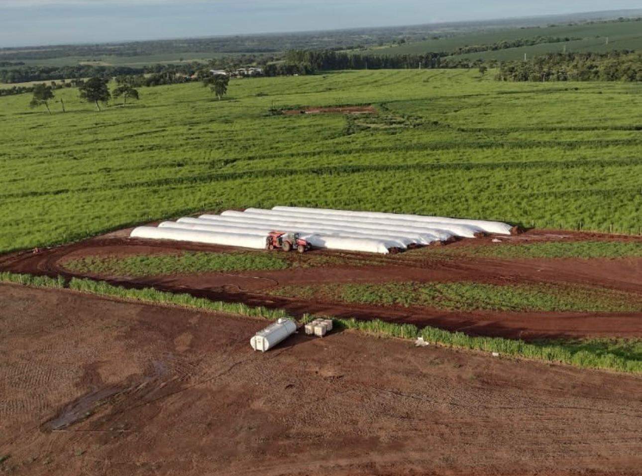 Vista aérea de silos-bolsa de grãos secos alinhados em área da fazenda
